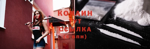 молекула духа Богородицк
