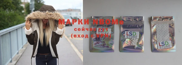 молекула духа Богородицк