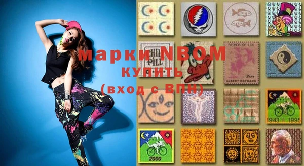 молекула духа Богородицк