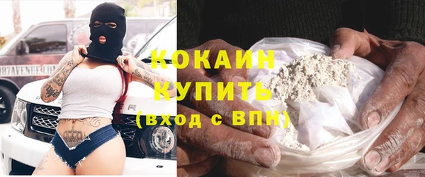 молекула духа Богородицк