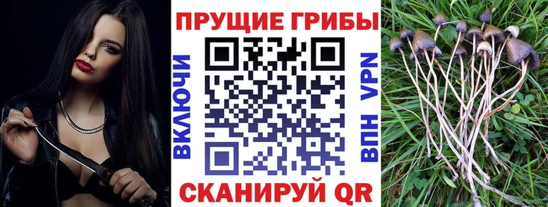 дарнет шоп  Касли  Галлюциногенные грибы мухоморы 